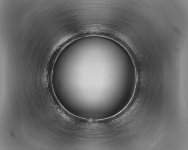 X0000111591018200907161449