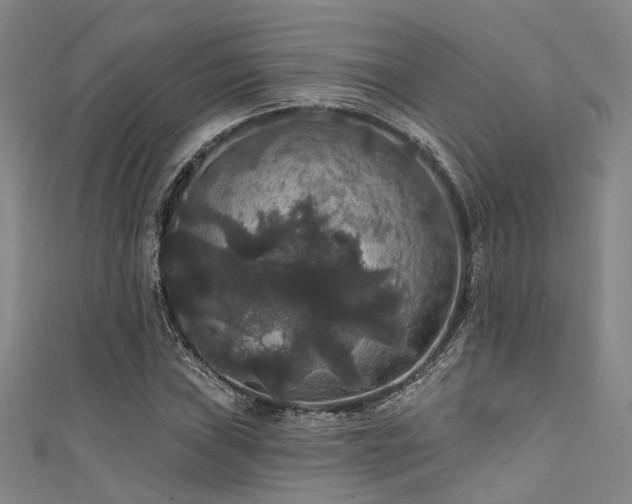 X0000111591019200907161449