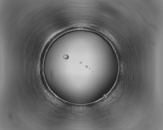 X0000111591020200907161449