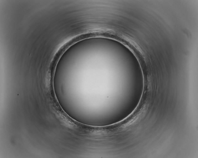 X0000111591021200907161449