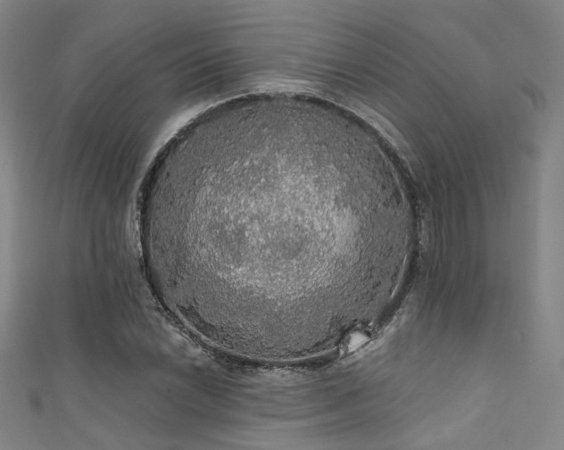 X0000111591022200907161449