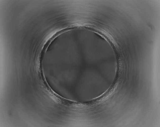 X0000111591023200907161449