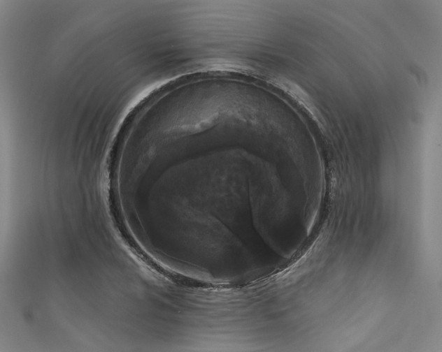 X0000111591024200907161449