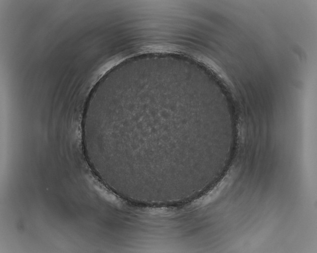 X0000111591025200907161449