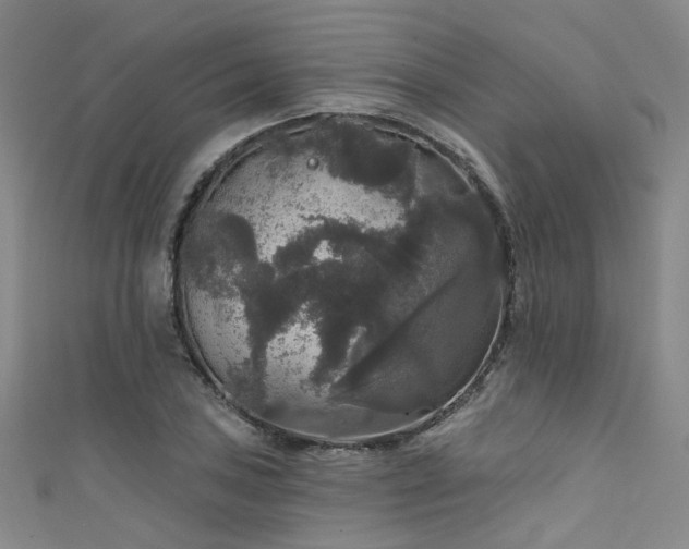 X0000111591027200907161449