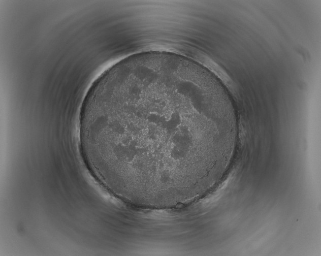 X0000111591028200907161449