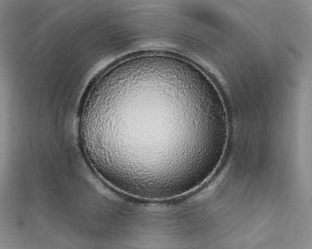 X0000111591029200907161449