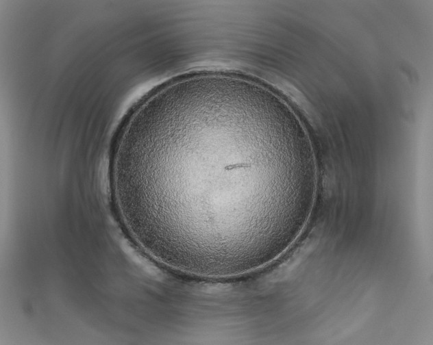 X0000111591030200907161449