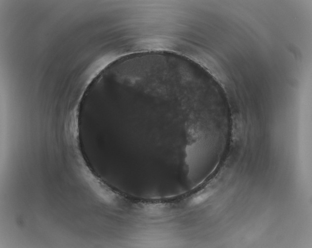 X0000111591031200907161449