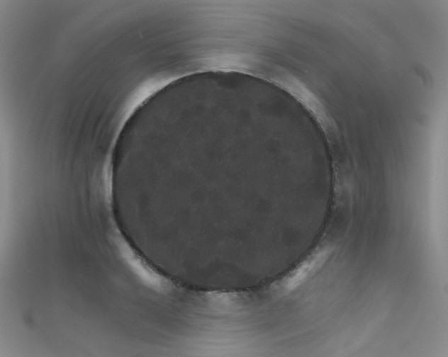 X0000111591032200907161449