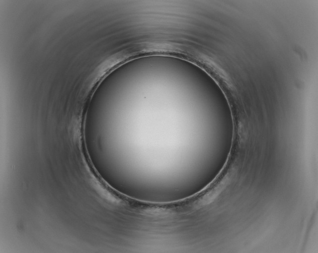 X0000111591033200907161449