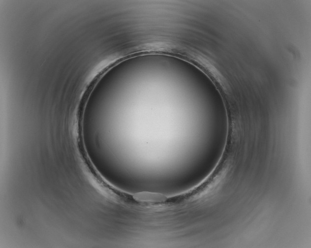 X0000111591034200907161449