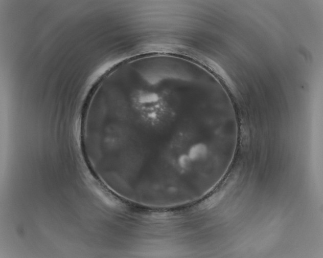 X0000111591035200907161449