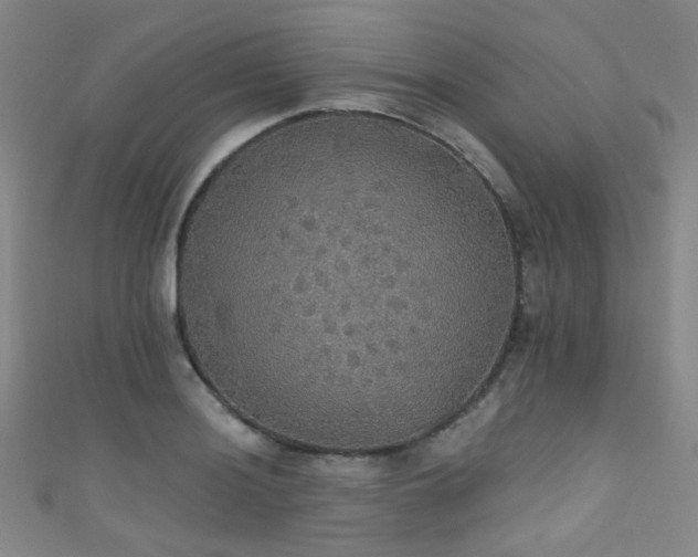 X0000111591036200907161449