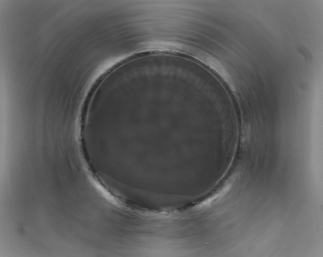 X0000111591037200907161449