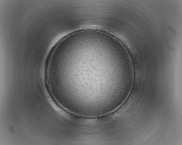 X0000111591038200907161449