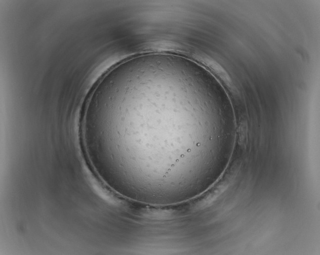 X0000111591039200907161449