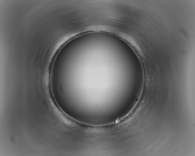 X0000111591040200907161449