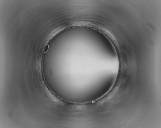 X0000111591041200907161449