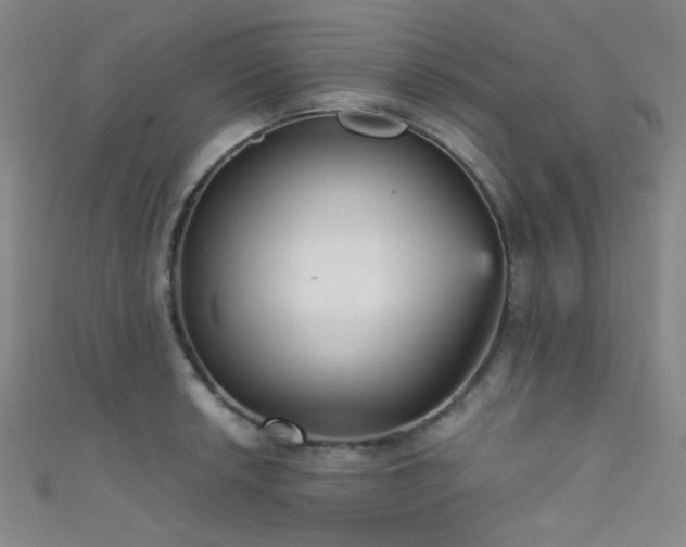 X0000111591042200907161449