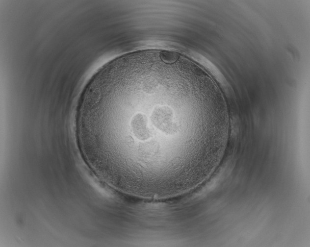 X0000111591043200907161449