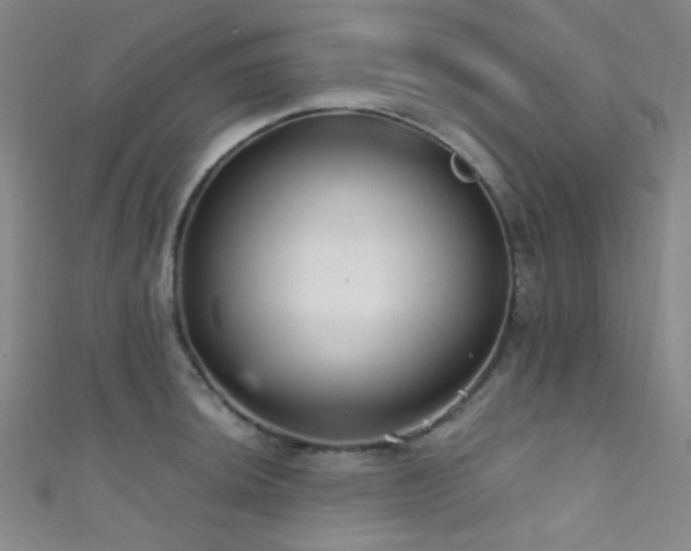 X0000111591044200907161449