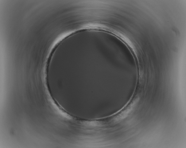 X0000111591045200907161449