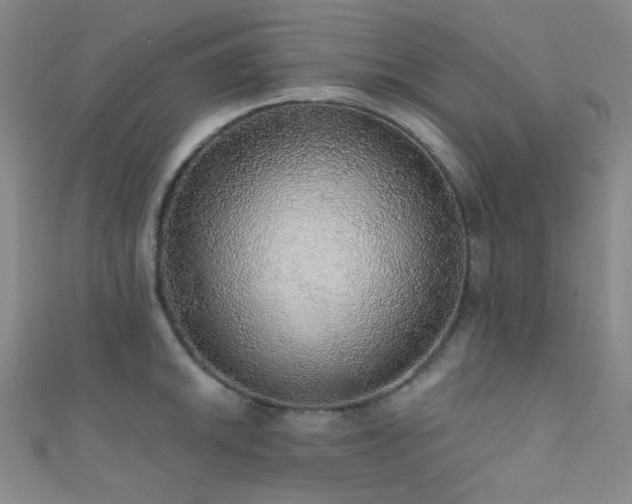 X0000111591046200907161449