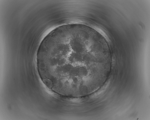 X0000111591047200907161449