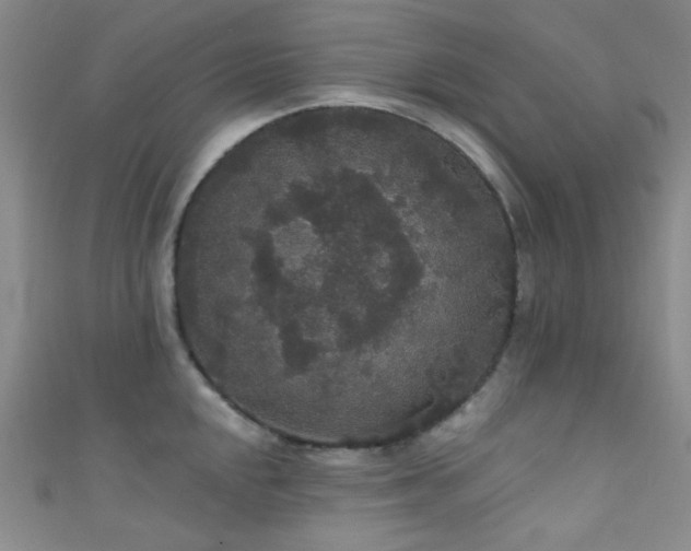 X0000111591048200907161449