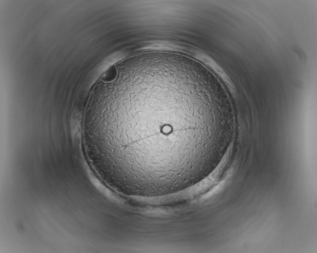 X0000111591049200907161449