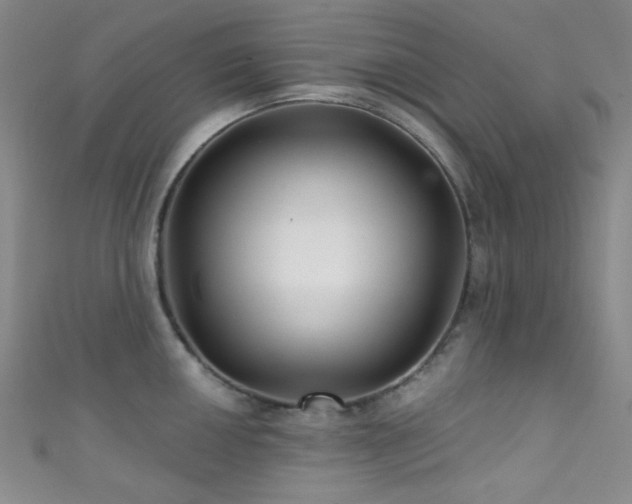 X0000111591050200907161449