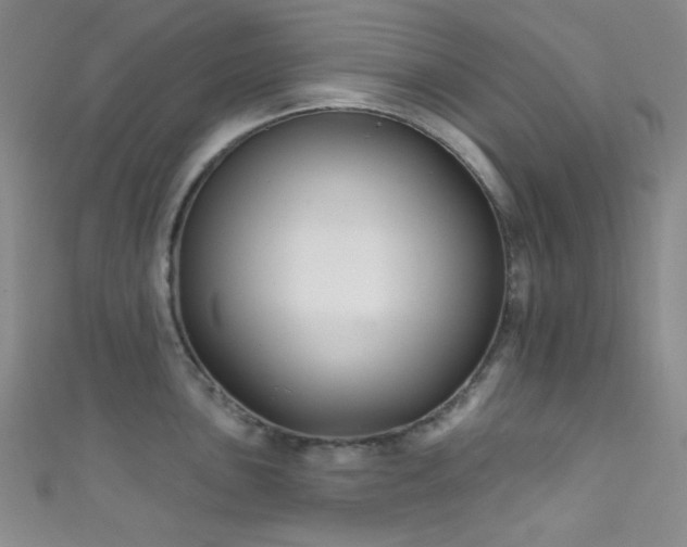 X0000111591051200907161449