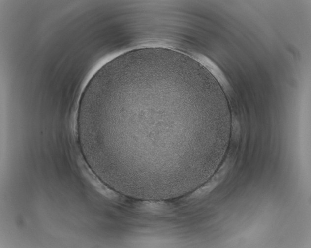 X0000111591052200907161449