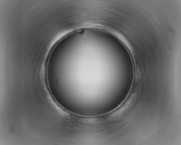 X0000111591053200907161449