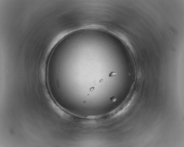 X0000111591054200907161449