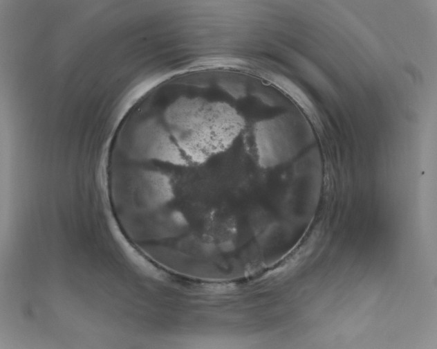 X0000111591055200907161449