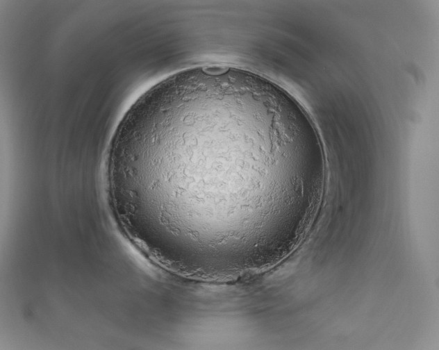 X0000111591056200907161449