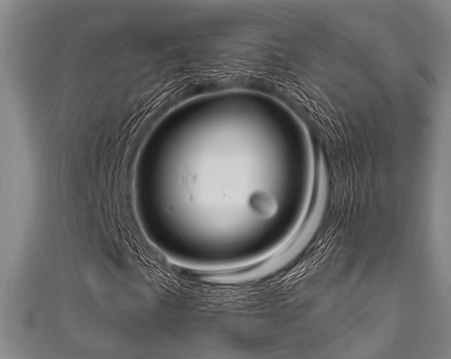 X0000111591057200907161449