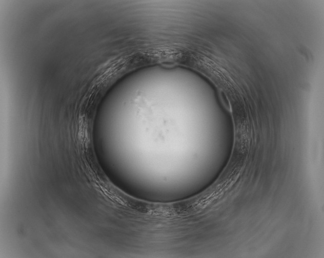 X0000111591058200907161449