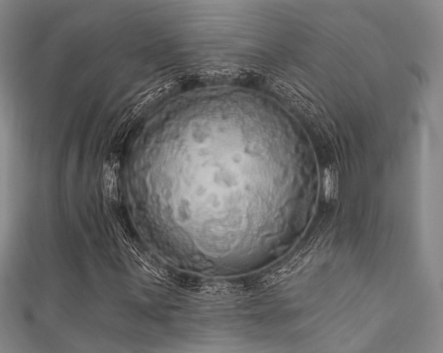 X0000111591059200907161449