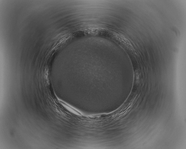 X0000111591060200907161449