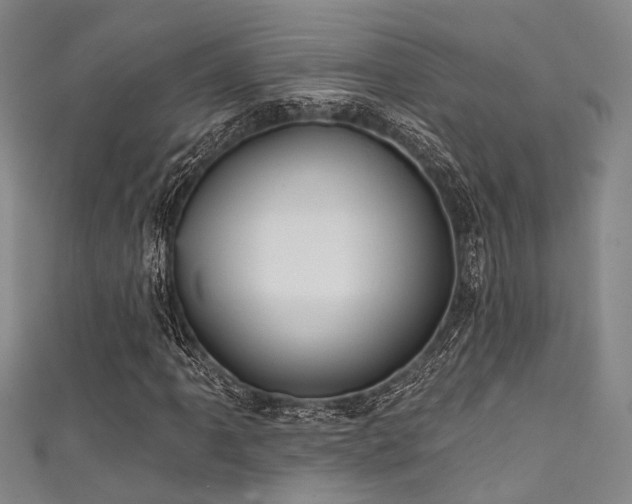 X0000111591061200907161449