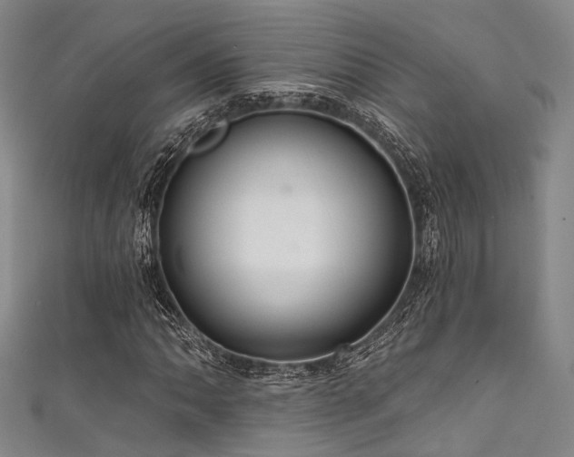 X0000111591062200907161449