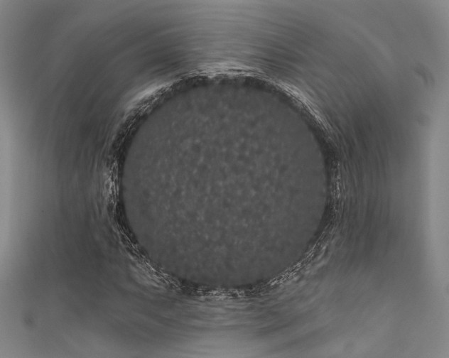 X0000111591063200907161449