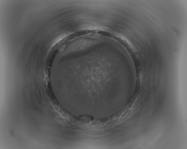 X0000111591064200907161449