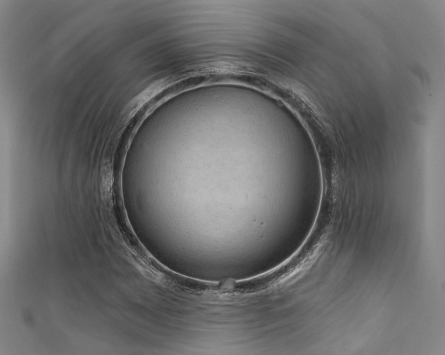 X0000111591065200907161449