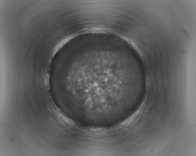 X0000111591066200907161449