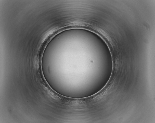 X0000111591067200907161449