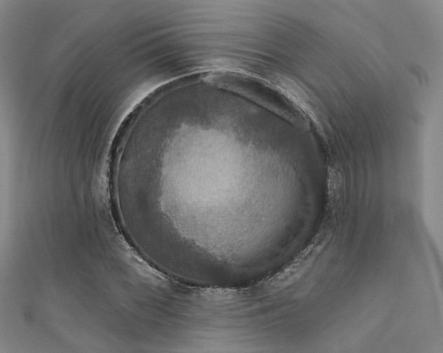 X0000111591068200907161449